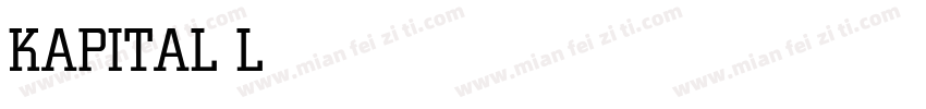 KAPITAL Light字体转换